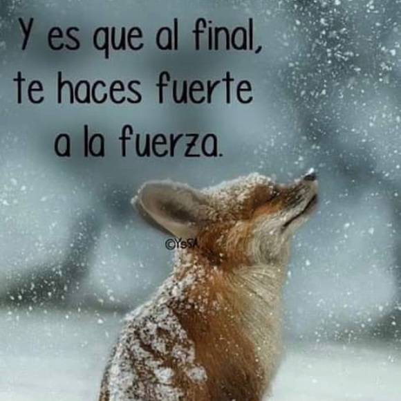 Meet your Posher, Berty - Picture 1 of 1